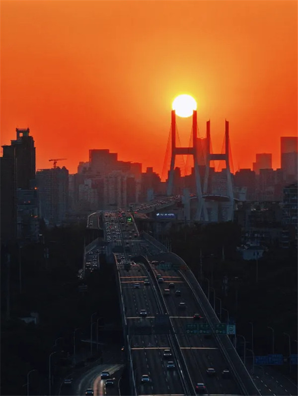 image.png (47).jpg