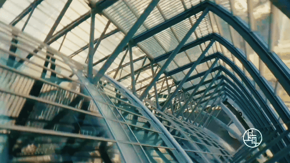 11.gif