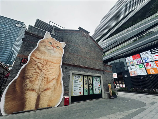 图片 (17).jpg