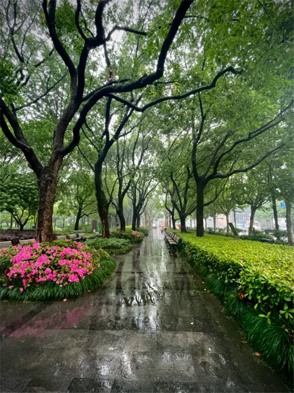 image.png (55).jpg