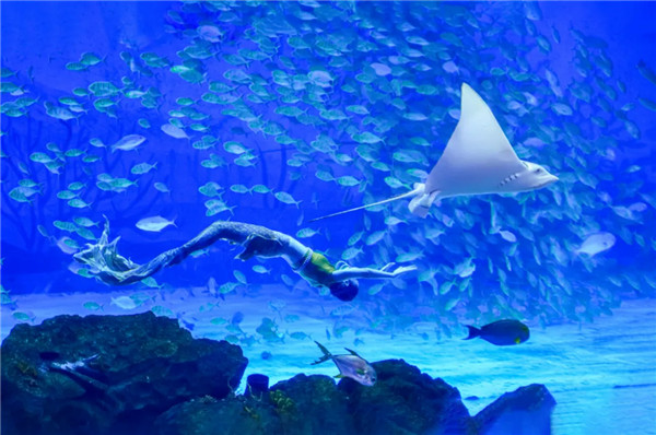 image.png (34).jpg