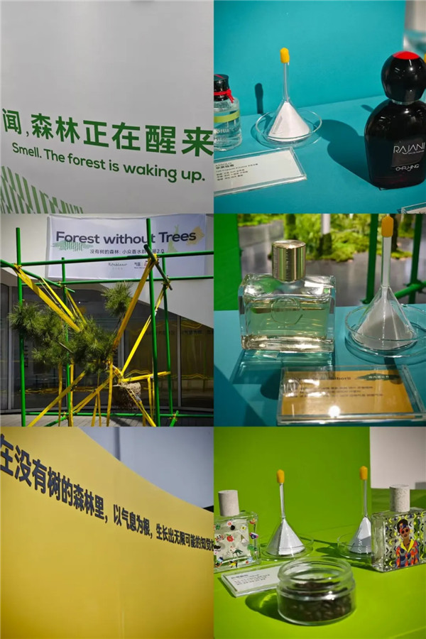 图片 (51).jpg