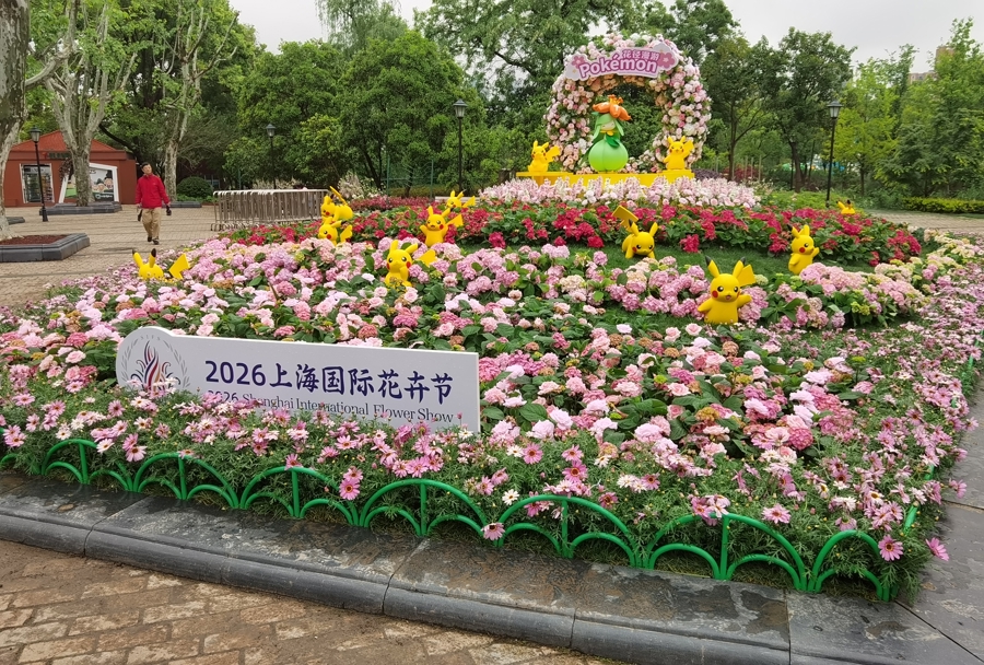 006.jpg 006.jpg