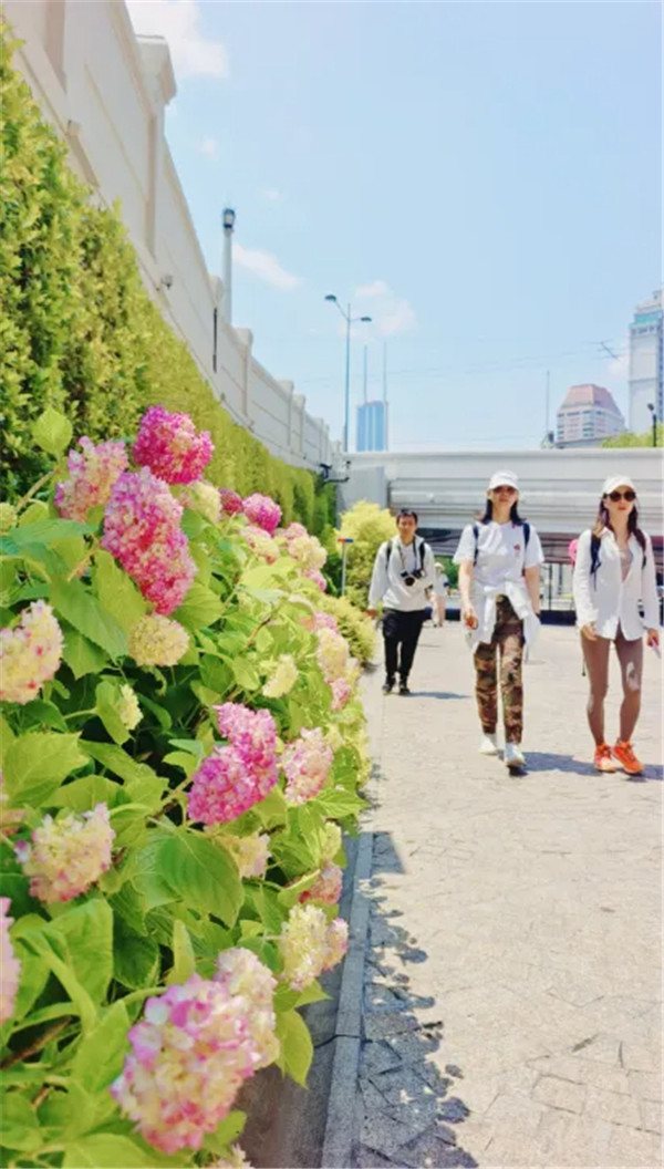 image.png (27).jpg